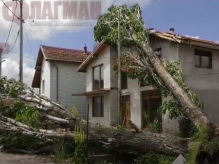 Паднали дървета и съборен покрив в Лом заради бурята