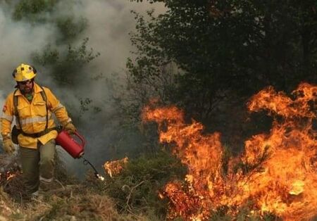 Югоизточно държавно предприятие – Сливен призовава да пазим горите от пожари