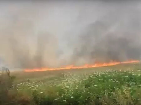 Огромен пожар бушува край АМ "Тракия" в района на Стара Загора, шофирайте внимателно! (видео)