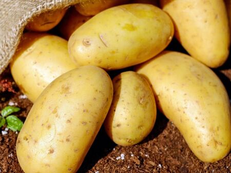Как да отслабнете с картофи