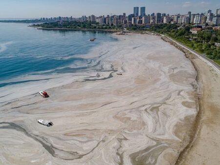 Екокатастрофата в Мраморно море – предупреждение за света