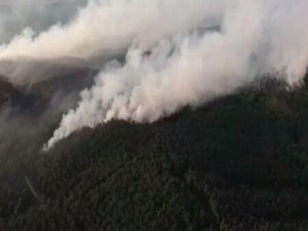 Голям горски пожар край Свиленград