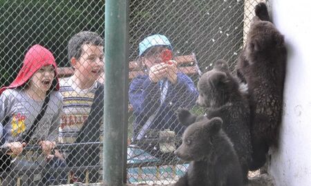 Зоопарк Бургас приюти наранени пеликани, имат нови маймунки и бебета катерички