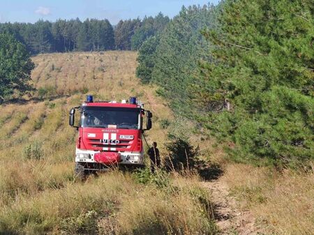 Пожарът в Сакар планина е овладян