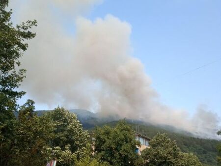 Огромен пожар над Твърдица, горят декари борова гора (ВИДЕО)
