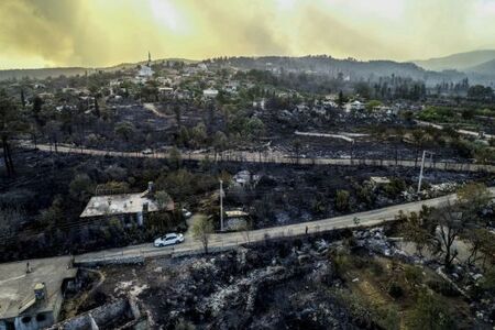 Ердоган обяви за бедстващи зони местата с пожари в Анталия, Мугла, Мерсин, Адана и Османия