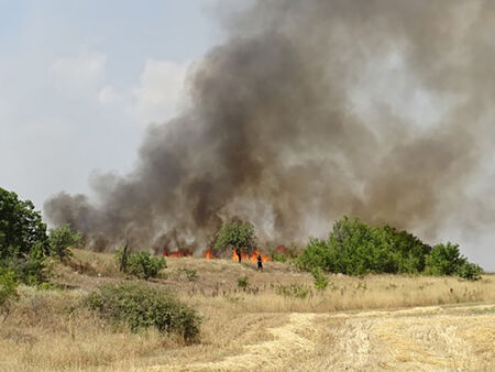 България гори! Огънят поглъща къщи, евакуират хора, загинаха двама горски служители