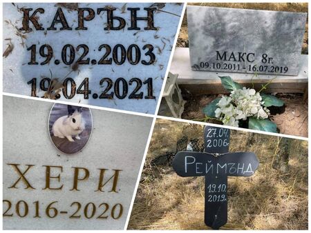 Междублоковите пространства в Бургас се превърнаха в гробища за домашни любимци