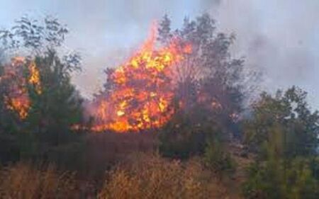 Голям пожар в лозови масиви край Айтос