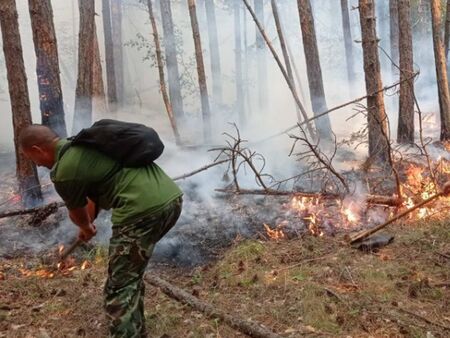 Военни и пожарникари гасят гората край Югово, пламъците са на километър от къщите