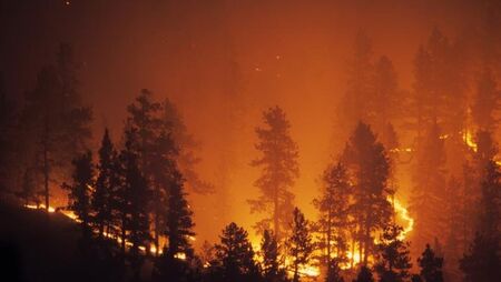 16 хиляди декара гори са изгорели от началото на годината