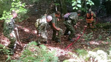 Пожарът край Югово е загасен