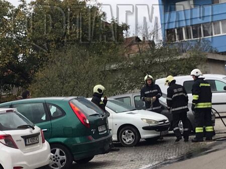 Кой и защо запали с "Молотов" Пежото на Даниела Желязкова в жк. "Зорница"