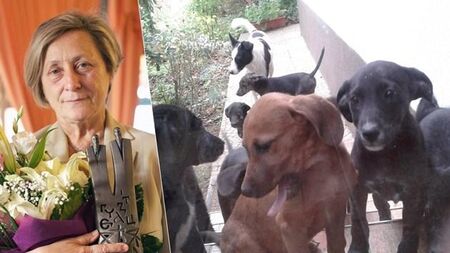 Нешка Робева гледа 30 кучета на село