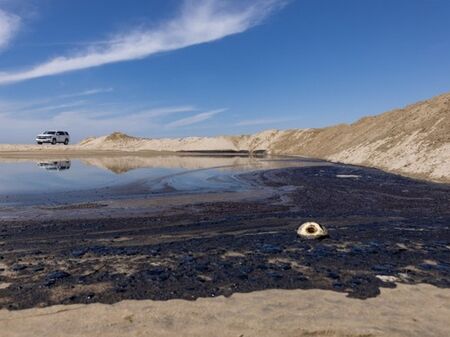 Петролен разлив край Калифорния заплашва с екокатастрофа