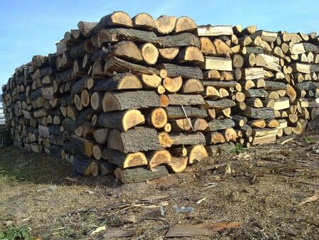 Има ли спекула с цената на дървата за огрев в Бургаско