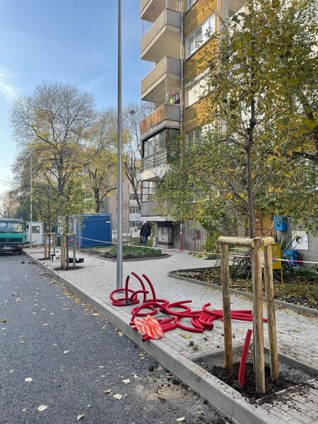 Започнаха да засаждат дръвчета по обновените улици в ж.к."Възраждане"