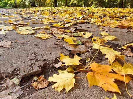 Слънчево в събота и неделя, студ идва в понеделник