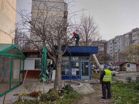 Не минавайте близо до големи дървета днес, оглеждайте се и се пазете!