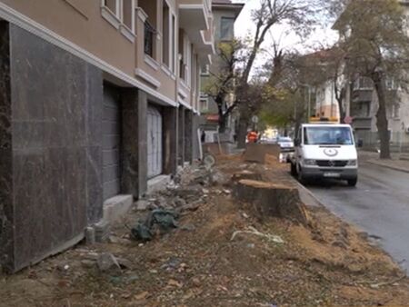 Отрязаха дърветата пред новопостроена сграда в Пловдив