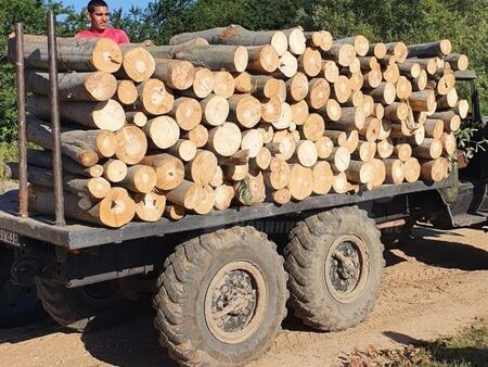 85% от жителите на община Созопол вече имат дърва за огрев