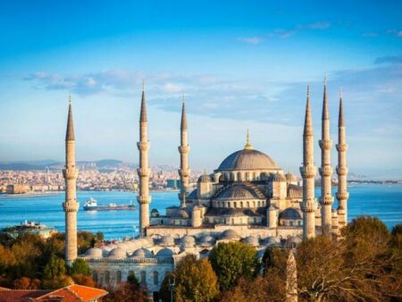 Арестуваха девет души в Истанбул заподозрени за връзки с "Ислямска държава"