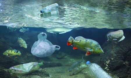 Средиземно море се „дави“ в близо 4000 тона пластмаса