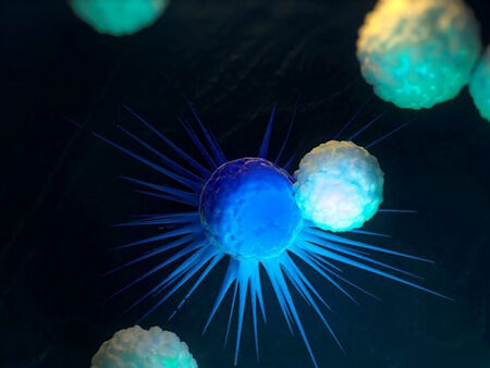 Изпращаме 2021 г. с две нови проучвания – Т-клетките предпазват от Омикрон повече от антителата