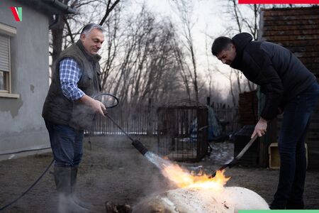 ЕС в потрес: Орбан коли огромно прасе и запива с люта унгарска ракия