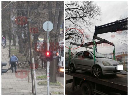 Зрелище в центъра на Бургас: Огромен клон падна върху паяк, докато транспортира Тойота-нарушител (СНИМКИ)