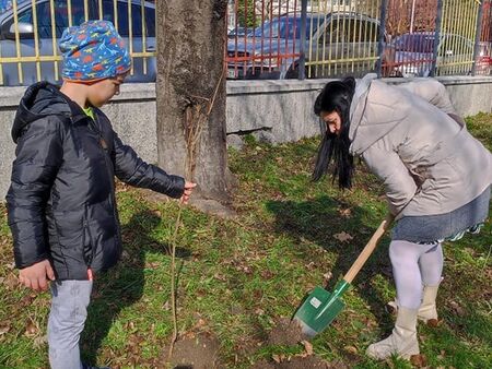 Деца от в детска градина „Звездица-Зорница“ в Бургас засадиха люляци в двора на учебното заведение