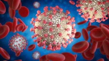 Червените кръвни клетки, увредени при след COVID-19, водят до проблеми с кръвоносните съдове