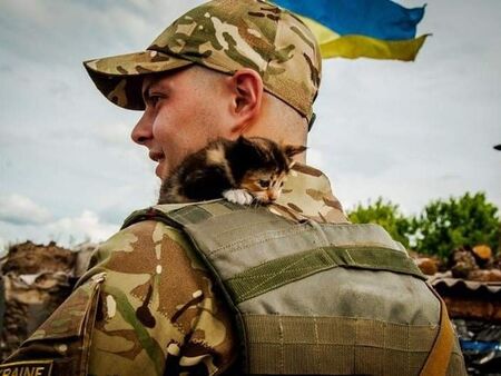 Другият поглед към войната! Украински войници спасяват котки на бойното поле