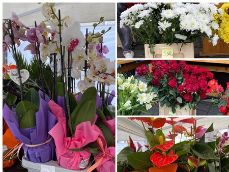 Цветята удариха тавана за 8 март, плащаме по 6 лв. за роза и 36 лв. за орхидея