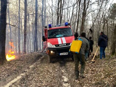 Извънредно! Запали се гората над плаж Липите в Синеморец