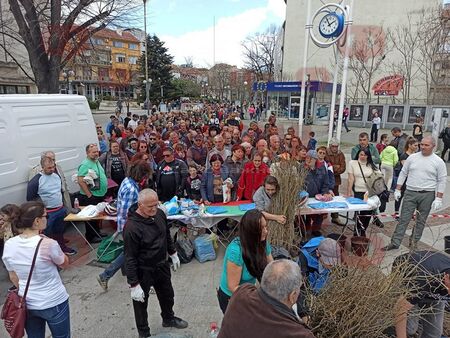 Над 700 чакат за безплатни дръвчета пред Часовника в Бургас