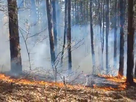 Извънредно! Мигранти запалиха труднодостъпна гора край Малко Търново, включете се в борбата с огъня! (ВИДЕО)