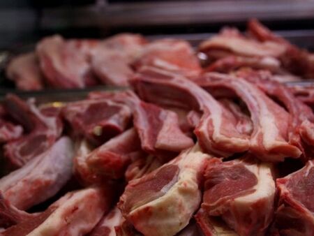 50 тона месо без документи откриха в кланица в Плевенско