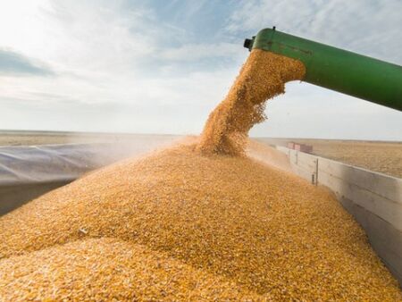 ООН предупреждава за криза със зърното: Над 25 млн. тона пшеница е блокирана в Украйна