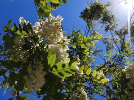 Слънчевa и топлa събота, температурите се повишават