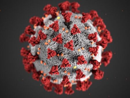 3 области без заразени с коронавирус, 239 позитивни теста