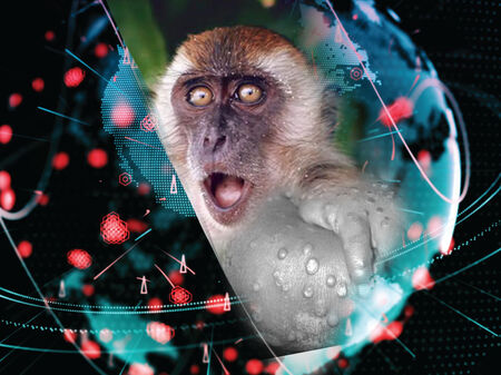 Маймунската шарка – пандемия 2.0? По-бързо от вируса се разпространява отново само паниката