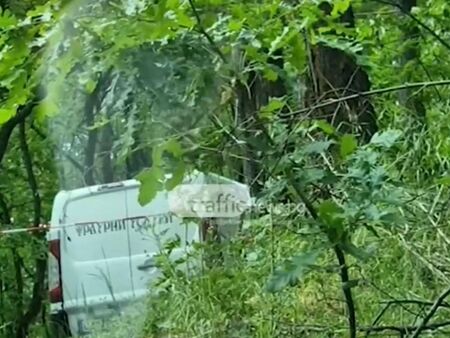 Откриха седем трупа в гора край София, задържаха служител на погребална агенция