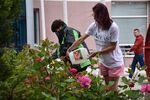 Община Поморие въведе иновативна технология за поддържане на зелената система