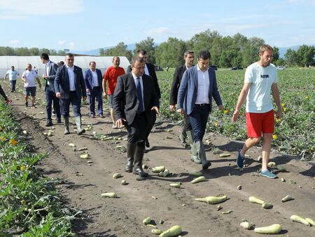 Премиерът надяна гумени ботуши в Садово и се разходи сред убити от градушка тиквички, за да утеши земеделците (ВИДЕО)