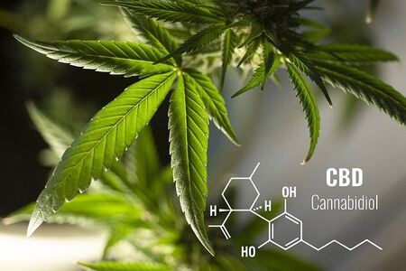 10 ползи от CBD капки от канабис (канабидиол капки)