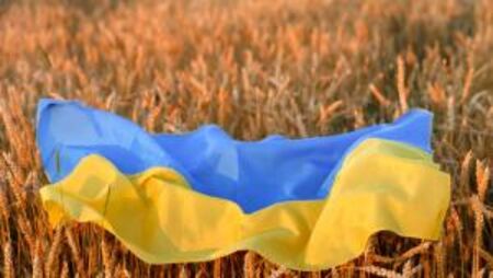 Проверяват качеството на внесеното у нас зърно от Украйна
