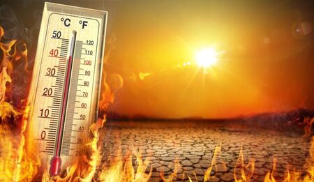 Опасни жеги: Горещ уикенд, температурите ще стигнат до 41°С
