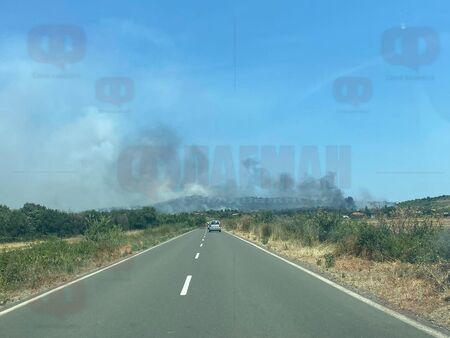 Извънредно: Пламна гора край бургаското село Изворище, огънят пълзи към вилната зона
