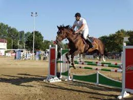 130 коня ще участват в турнира по конен спорт „Купа Бургас“